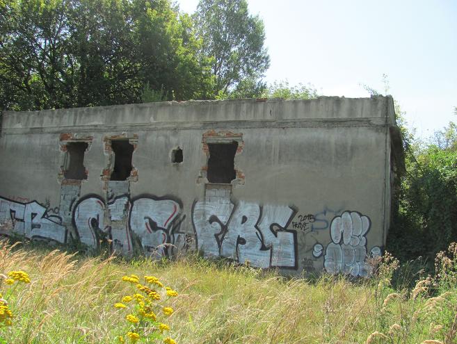 Ruiny przy ul. Tischnera - fot. 3.JPG