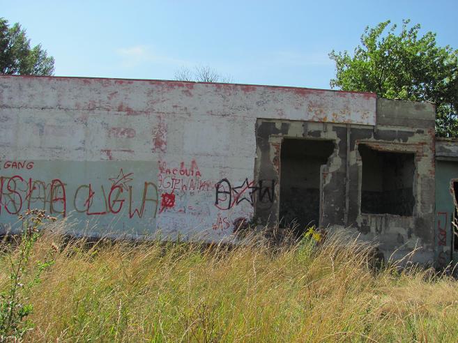 Ruiny przy ul. Tischnera - fot. 7.JPG