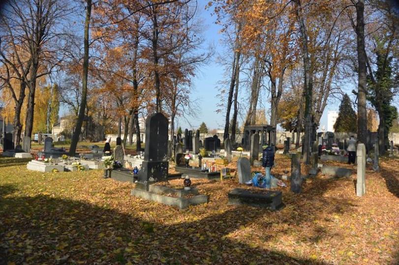 Cmentarz żydowski w Sosnowcu (6).JPG