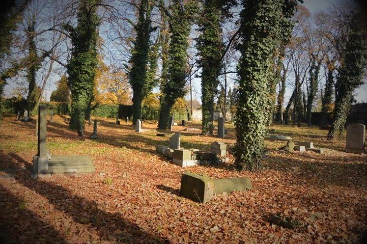 Cmentarz żydowski w Sosnowcu (9).JPG