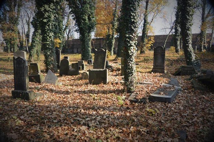 Cmentarz żydowski w Sosnowcu (10).JPG