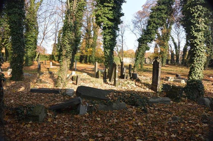 Cmentarz żydowski w Sosnowcu (14).JPG