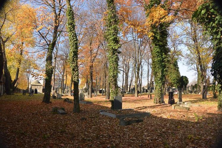 Cmentarz żydowski w Sosnowcu (15).JPG