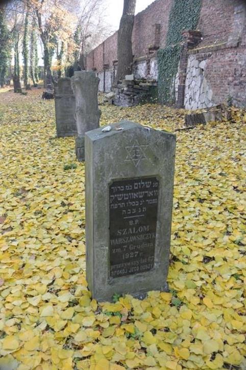 Cmentarz żydowski w Sosnowcu (4).JPG