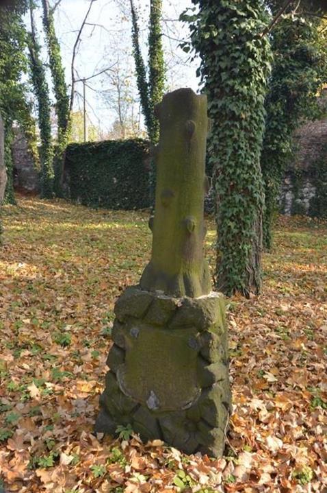 Cmentarz żydowski w Sosnowcu (24).JPG