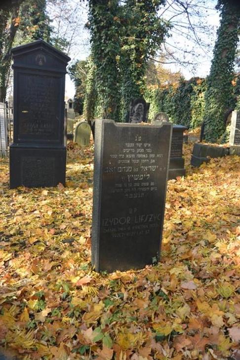 Cmentarz żydowski w Sosnowcu (30).JPG