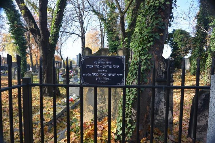 Cmentarz żydowski w Sosnowcu (37).JPG