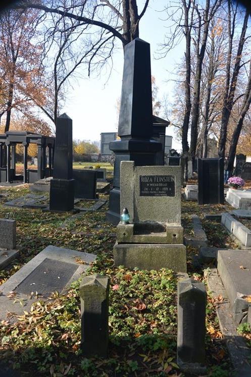 Cmentarz żydowski w Sosnowcu (42).JPG