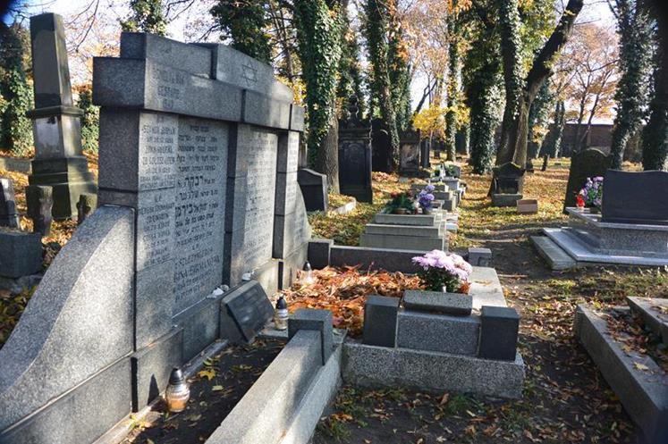 Cmentarz żydowski w Sosnowcu (43).JPG
