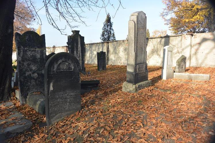 Cmentarz żydowski w Sosnowcu (45).JPG