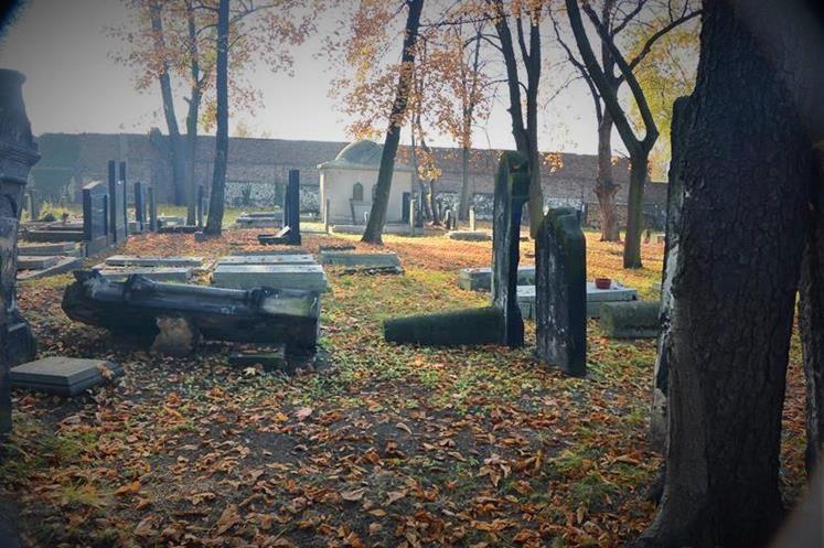 Cmentarz żydowski w Sosnowcu (46).JPG