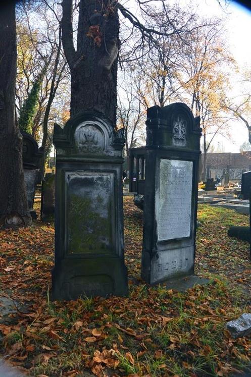 Cmentarz żydowski w Sosnowcu (47).JPG