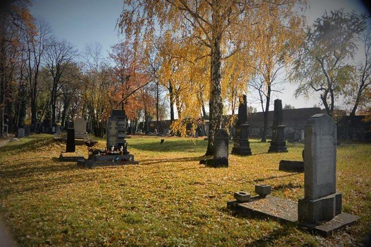 Cmentarz żydowski w Sosnowcu (50).JPG