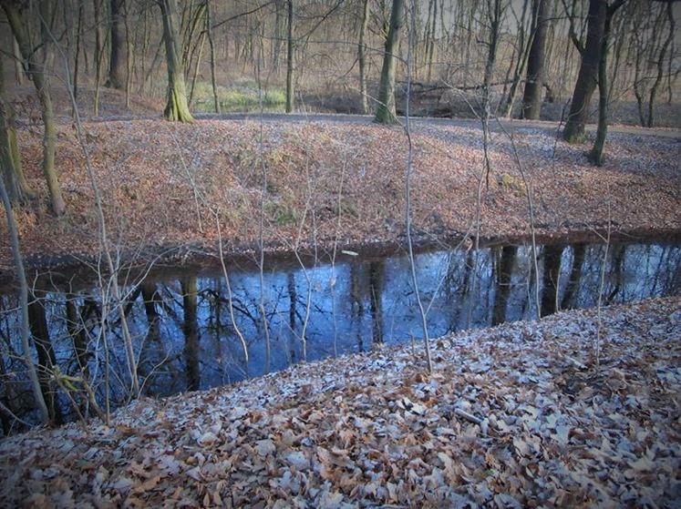 Majdan otoczony fosą (13).jpg