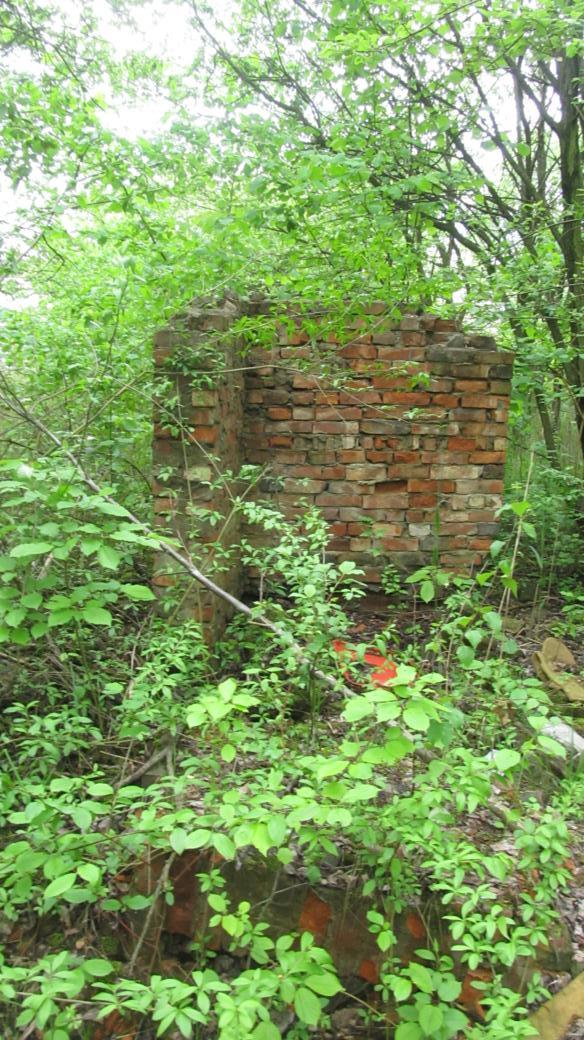 Ruiny pieca typu Hoffman (7).jpg