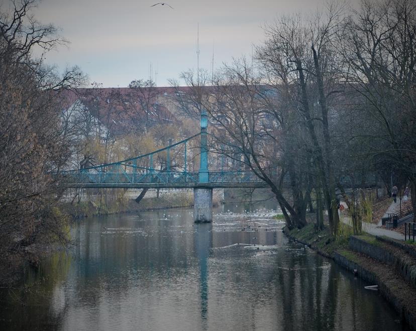 Most Groszowy (18).JPG