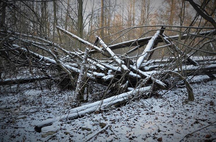 Ruiny wieży triangulacyjnej (14).JPG