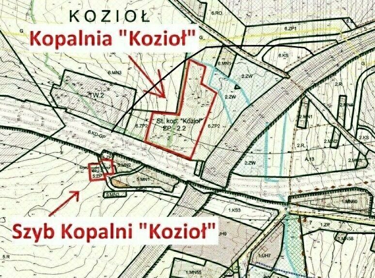 Koziol.jpg