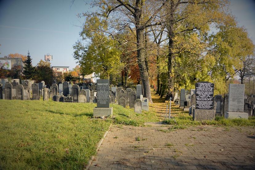 Cmentarz żydowski - listopad 2015 (1).JPG