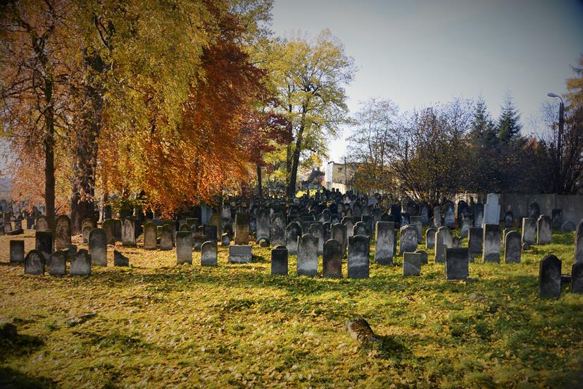 Cmentarz żydowski - listopad 2015 (5).JPG