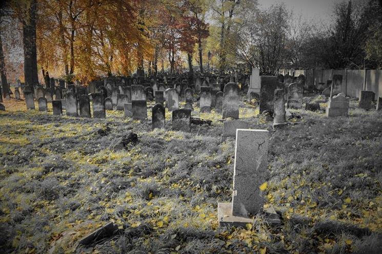 Cmentarz żydowski - listopad 2015 (6).JPG