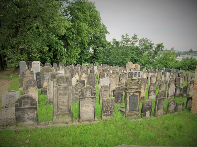 Cmentarz żydowski w Czeladzi w lipcu 2012 roku (1).jpg