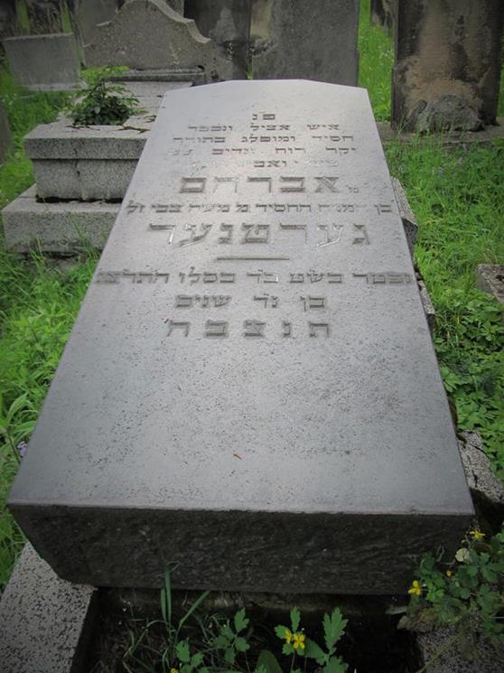 Cmentarz żydowski w Czeladzi w lipcu 2012 roku (28).jpg