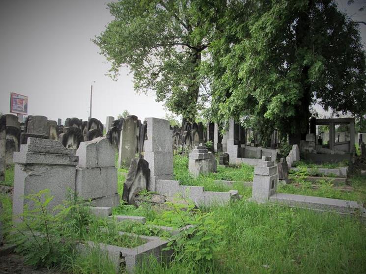 Cmentarz żydowski w Czeladzi w lipcu 2012 roku (27).jpg