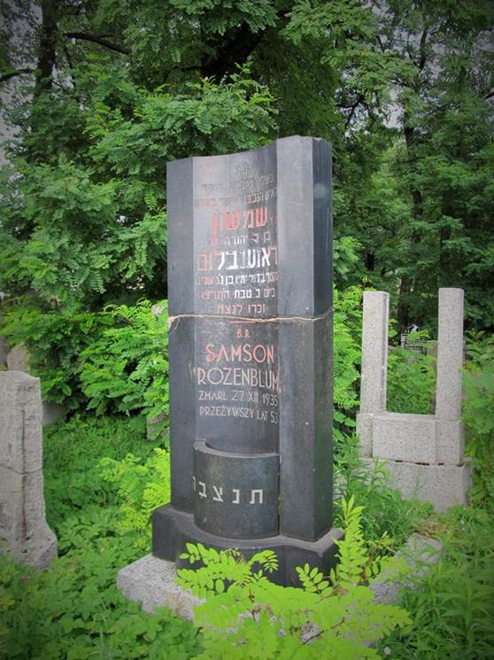 Cmentarz żydowski w Czeladzi w lipcu 2012 roku (26).jpg