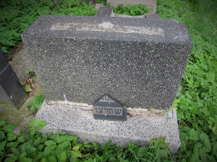 Cmentarz żydowski w Czeladzi w lipcu 2012 roku (24).jpg