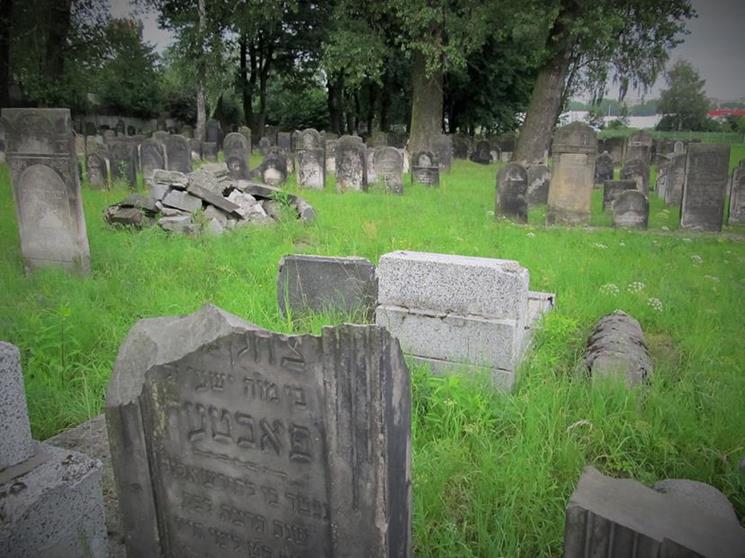 Cmentarz żydowski w Czeladzi w lipcu 2012 roku (23).jpg