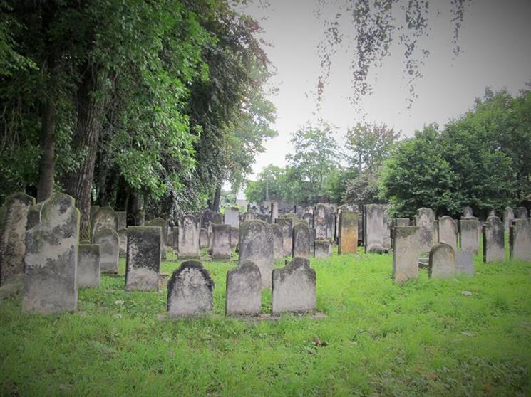 Cmentarz żydowski w Czeladzi w lipcu 2012 roku (18).jpg