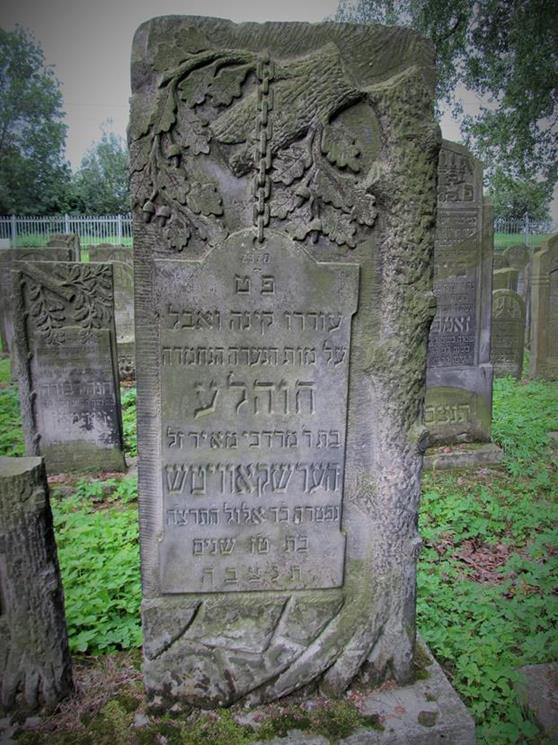 Cmentarz żydowski w Czeladzi w lipcu 2012 roku (16).jpg