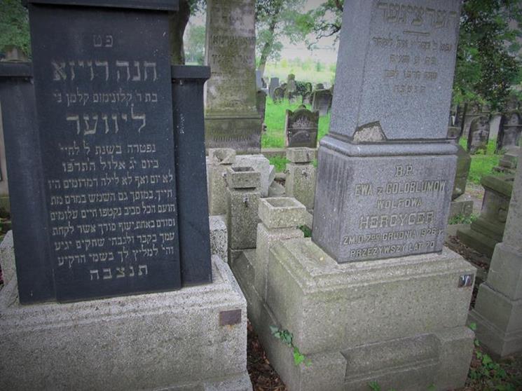 Cmentarz żydowski w Czeladzi w lipcu 2012 roku (7).jpg