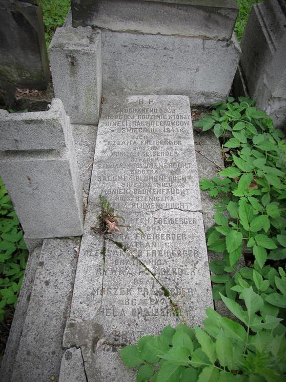 Cmentarz żydowski w Czeladzi w lipcu 2012 roku (5).jpg