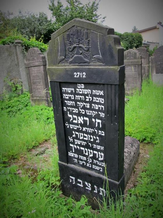Cmentarz żydowski w Czeladzi w lipcu 2012 roku (4).jpg