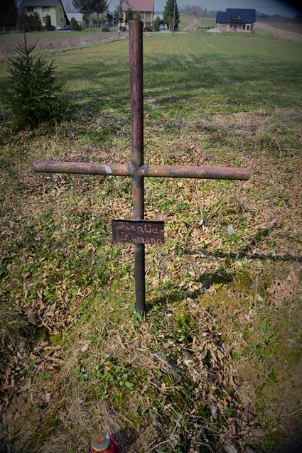 Na cmentarzu w Woli Krzywieckiej (3).JPG