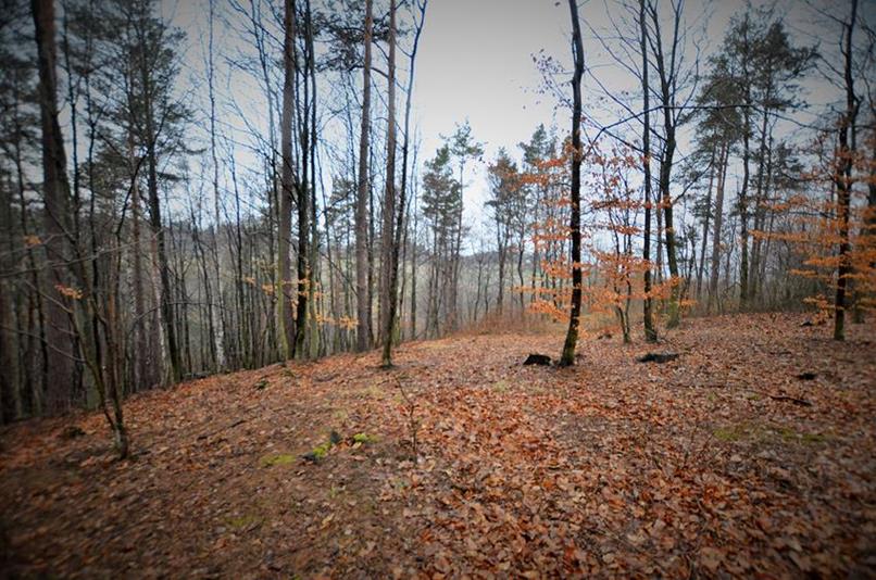 Płaski majdan otoczony reliktami wału (2).JPG