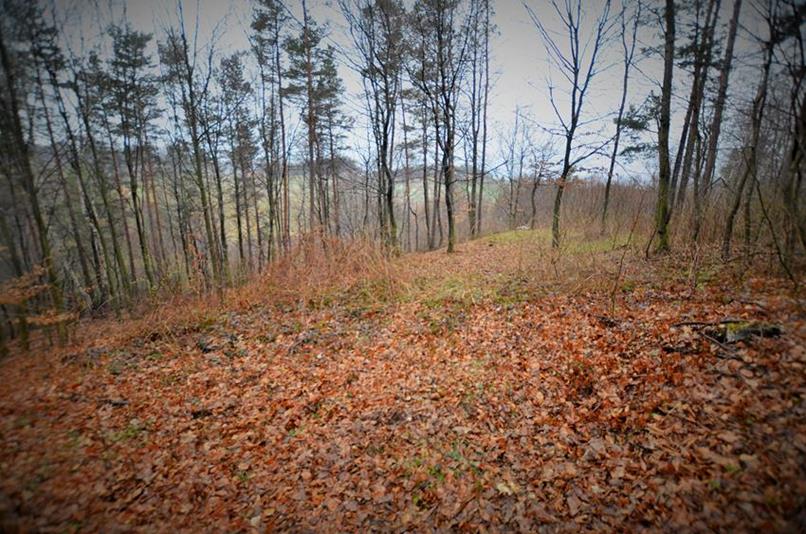 Płaski majdan otoczony reliktami wału (7).JPG