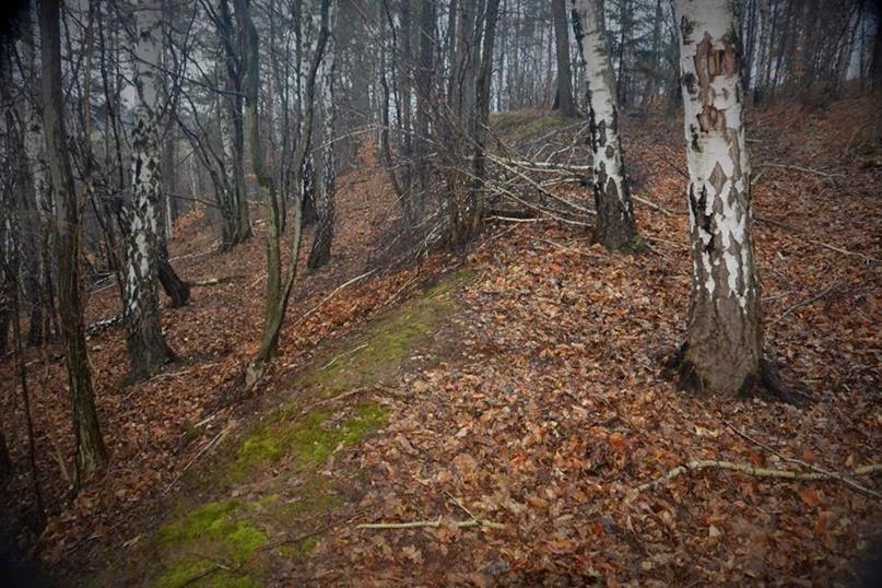 Relikty podwójnej linii wałów (7).JPG