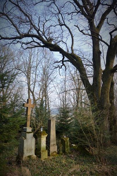 Stary cmentarz (1).JPG