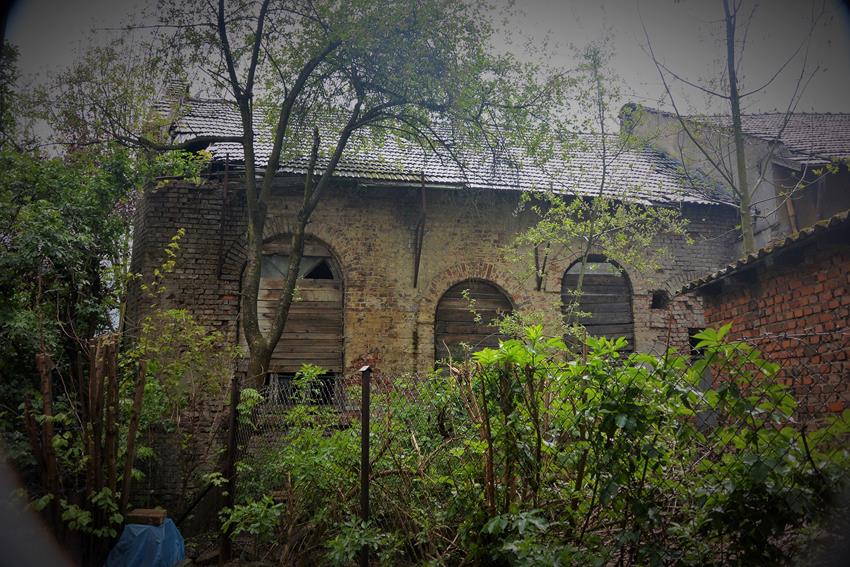 Ruiny synagogi (7).JPG