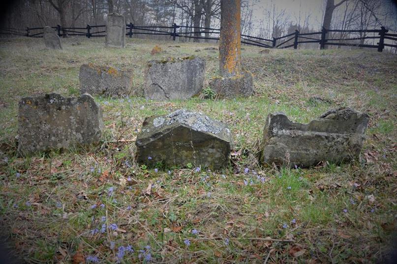 Cmentarz żydowski w Krasiczynie (7).JPG