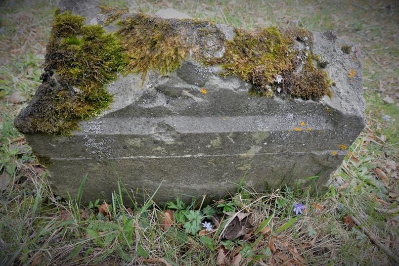 Cmentarz żydowski w Krasiczynie (11).JPG