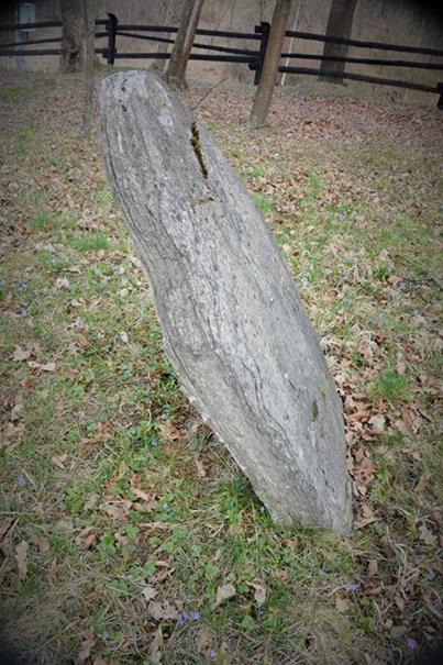 Cmentarz żydowski w Krasiczynie (17).JPG