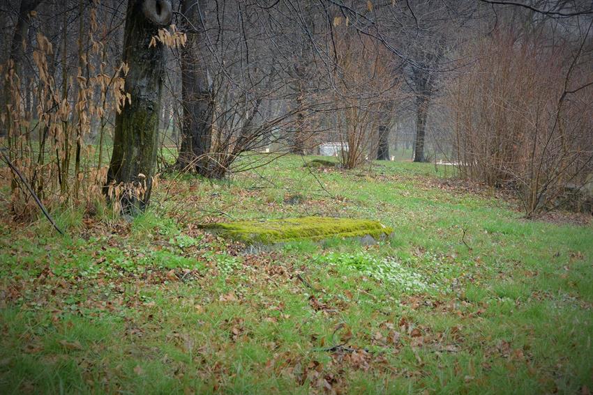 Tyczyn - cmentarz żydowski  (10).JPG