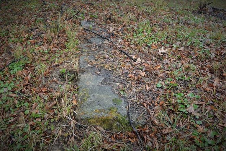 Tyczyn - cmentarz żydowski  (11).JPG
