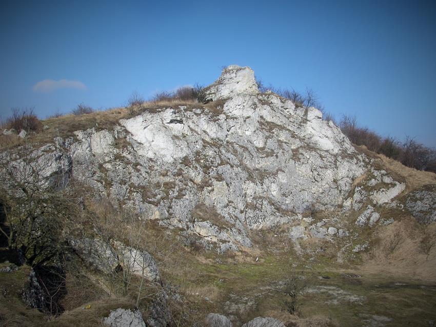 Kamieniołom w marcu 2015 roku (4).jpg