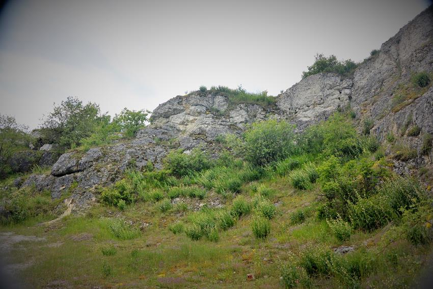 Kamieniołom w czerwcu 2016 roku (6).JPG
