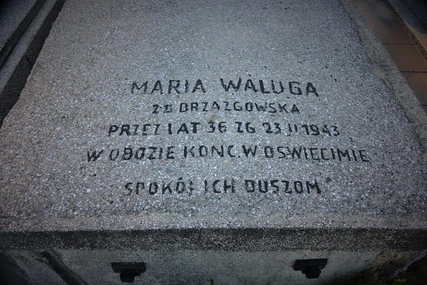 Maria Waluga (1).JPG